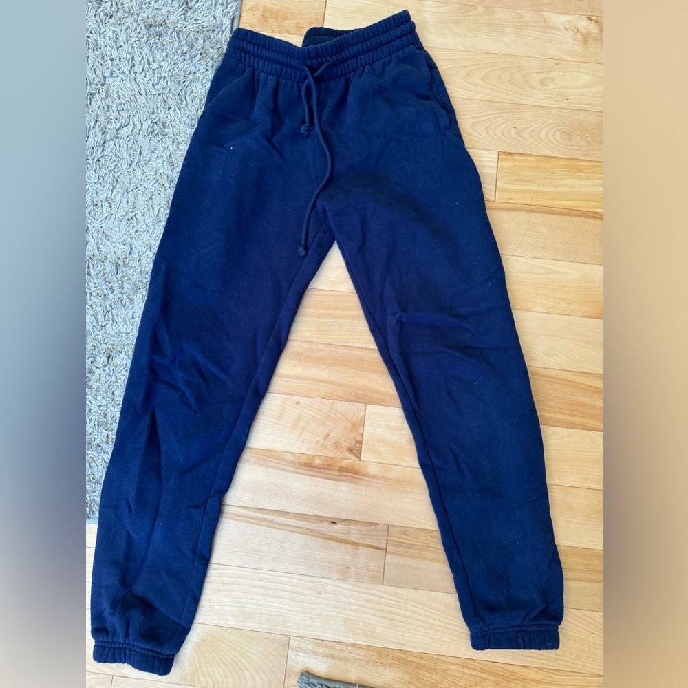 Aritzia TNA joggers